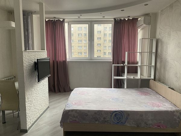 1-к квартира, 30 кв.м., Державина, 92/1 жд вокзал,зоопарк, аквапарк, ниито, пакман, березовая роща, сибирский мол , галерея новосибирск, аура, в центре, метро Покрышкина и березовая роща